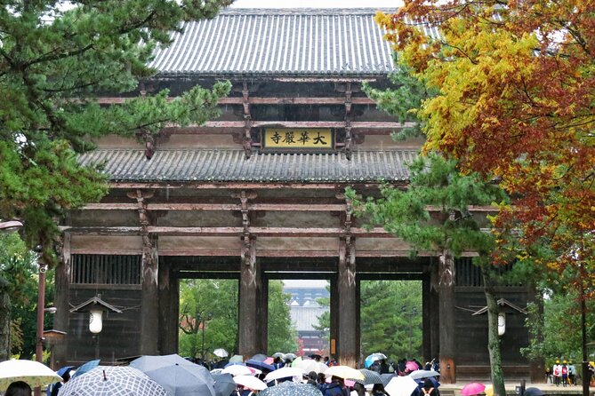 Nara World Heritage PRIVATE TOUR - Ukimido Pavilion at Sagiike: Reflections and a Calm Break