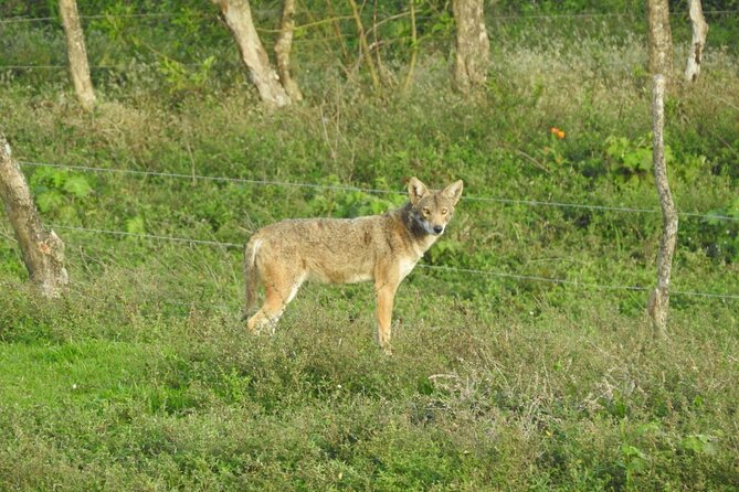 Natural History Tour at Curi Cancha Reserve in Monteverde - Key Points You Should Know Before You Go