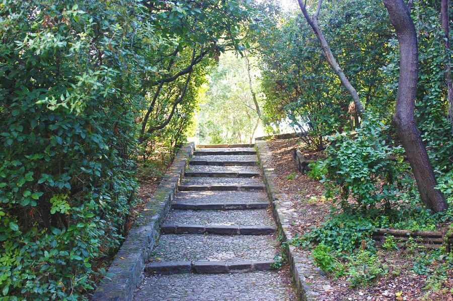 Nice: Theatrical History Tour - Secrets of the Castle Hill - Who should book this Nice theatrical history tour