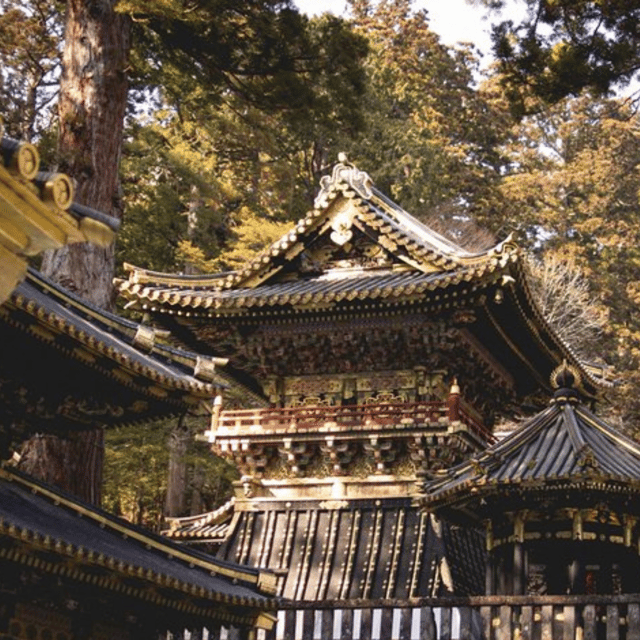 Nikko Heritage & Nature Day Trip from Tokyo - Price and logistics: what $391 per group really buys
