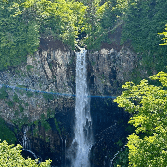 Nikko Heritage & Nature Day Trip from Tokyo - Private van comfort: why this Nikko plan works from Tokyo