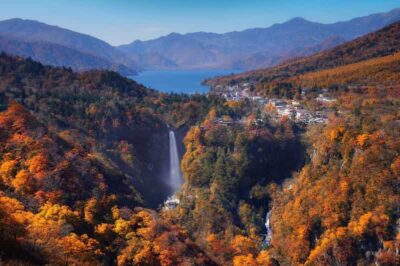 Nikko Heritage & Nature Day Trip from Tokyo - Toshogu Shrine and Tokugawa Ieyasu: where the art stops you cold