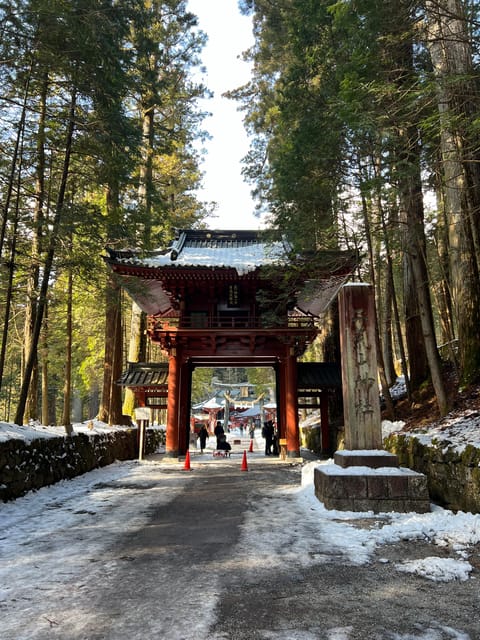 Nikko Heritage & Nature Day Trip from Tokyo - The driver experience: English help, safe driving, and flexible pacing