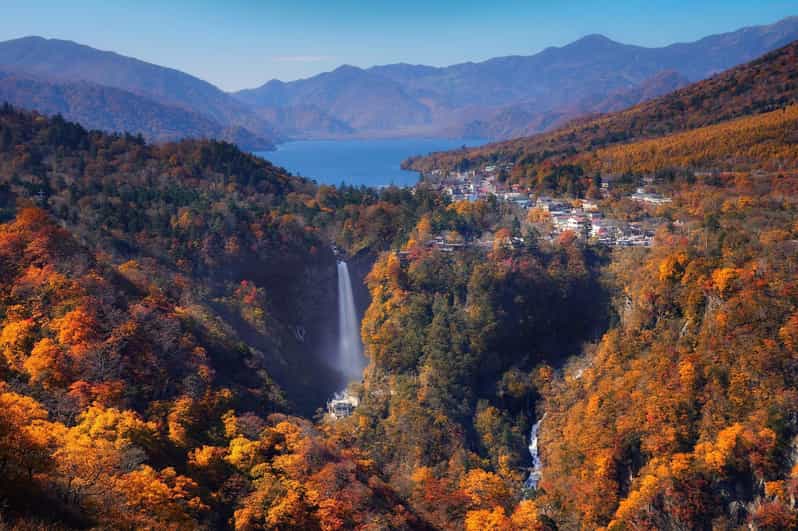 Nikko Heritage & Nature Day Trip from Tokyo - Toshogu Shrine and Tokugawa Ieyasu: where the art stops you cold