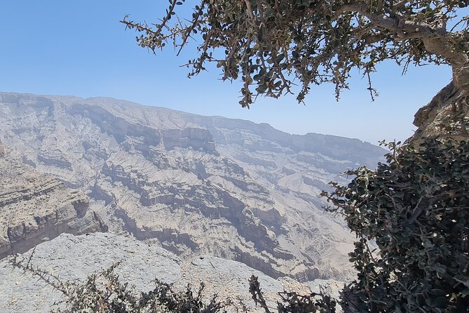Nizwa Heritage & Jebel Shams Canyon – Private Tour from Muscat - Nizwa Fort: museum views, and the one fee you must plan