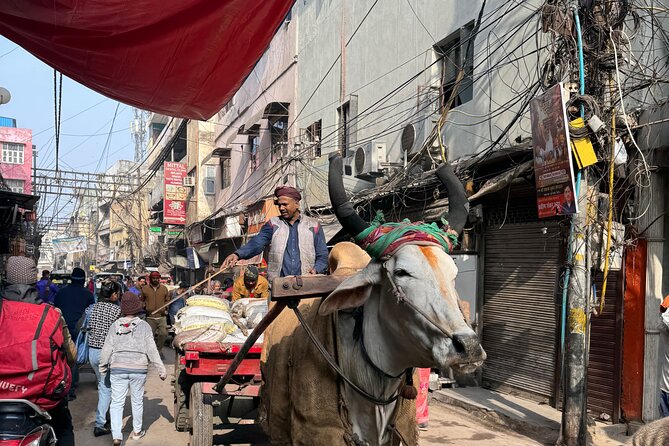 Old Delhi Heritage Food Walk - Meeting at Jama Masjid: Starting in the Right Place