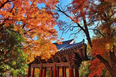 Old Korea Thousand History Tour of Gyeongju from Busan - Gyochon Traditional Village: Hanok Streets and Real-Life Flavor