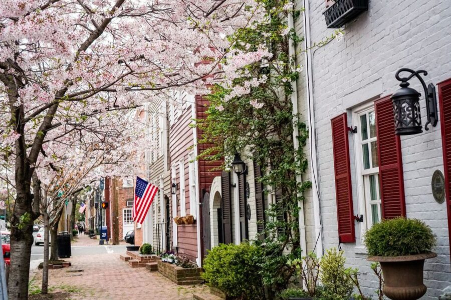 Old Town Alexandria: Southern Comfort Food & History Tour - Finishing on King Street at 726 King St