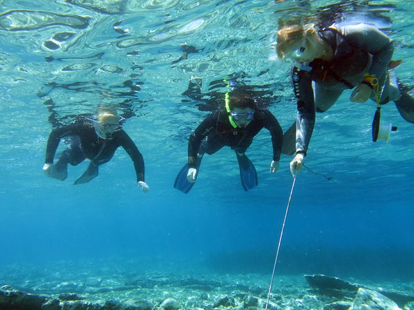 Olous – Guided Snorkelling Excursion to Discover Olous Sunken Ancient City - Key highlights at a glance