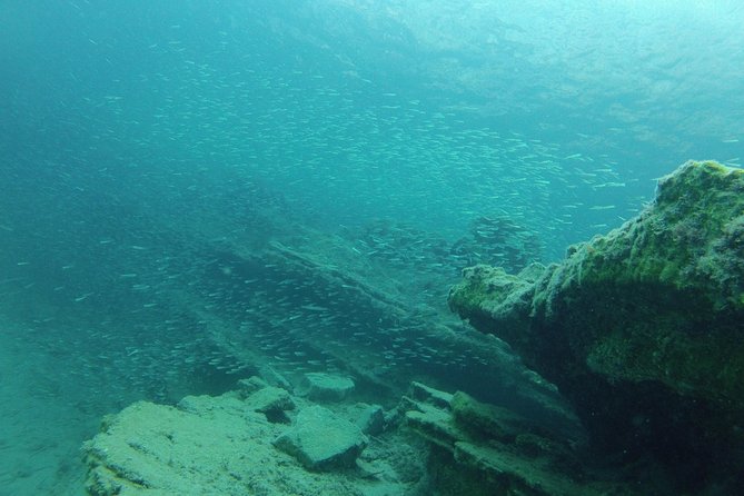Olous – Guided Snorkelling Excursion to Discover Olous Sunken Ancient City - What you’ll see underwater: shallow ruins plus fish life