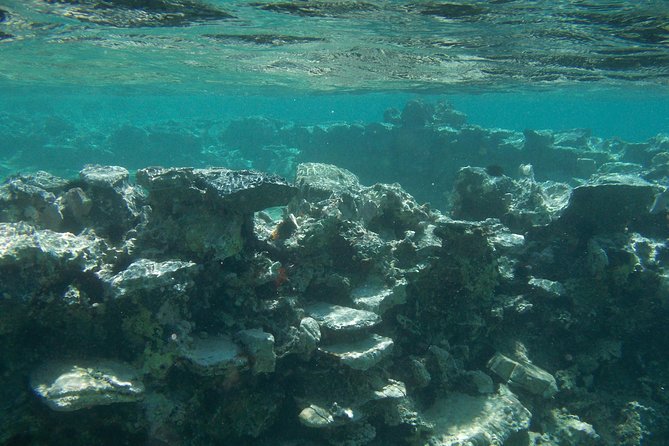 Olous – Guided Snorkelling Excursion to Discover Olous Sunken Ancient City - Snorkel coaching that actually helps nervous first-timers