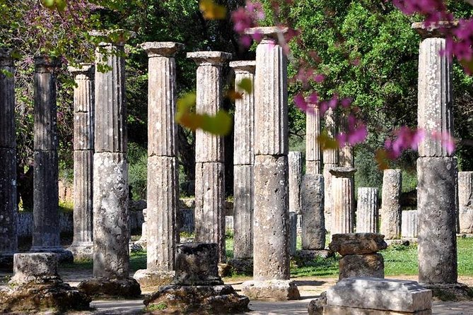 Olympia Shore Ex: Olympic site, Honey Farm & Olive Oil Tasting - Getting from Katakolon to Olympia without a hassle