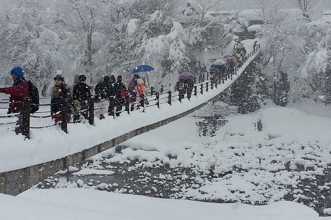 [One-day bus tour departing from Kanazawa Station] Shirakawa-go and Gokayama - Two World Heritage Villages Enjoyable Bus Tour - Shirakawa-go freedom walk: how to spend about 2 hours 50 minutes well