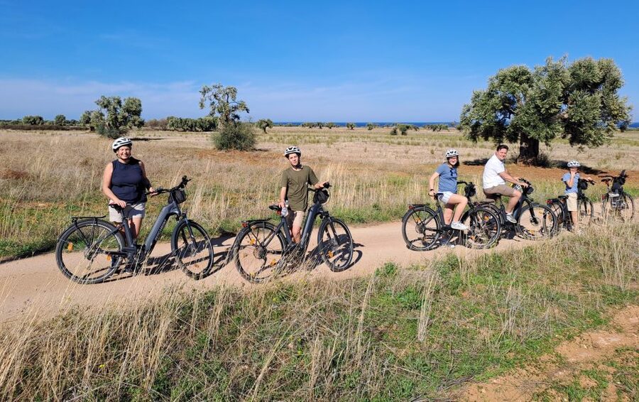 Ostuni: E-bike Tour, Ancient Olive Trees & Oil Tasting - E-bike rentals vs bringing your own: what to plan for