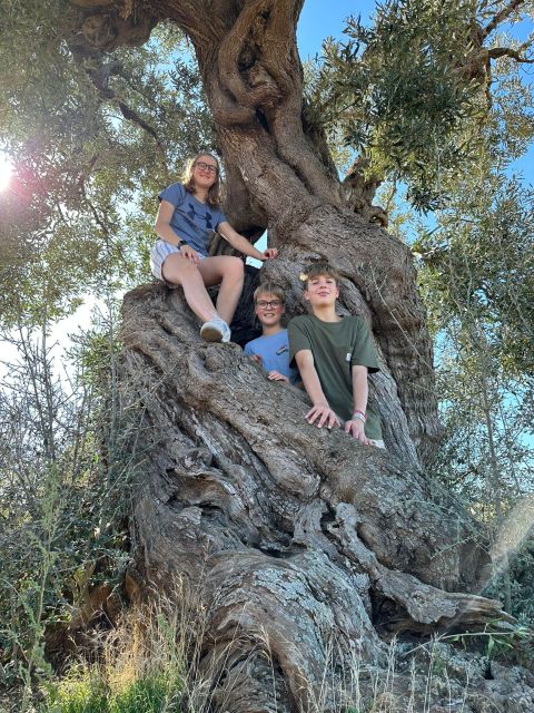 Ostuni: E-bike Tour, Ancient Olive Trees & Oil Tasting - Cooperativa L’Agricola Montalbanese to the Coastal Dunes trails