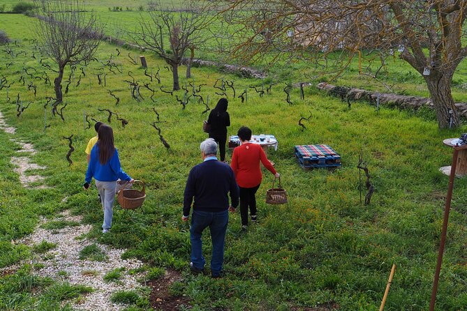Picnic aperitif in the vineyard of an ancient trullo in Martina Franca - What you’ll eat: a real Apulian spread
