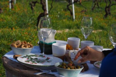 Picnic aperitif in the vineyard of an ancient trullo in Martina Franca - The garden walk: Susumaniello vines and centuries-old trees