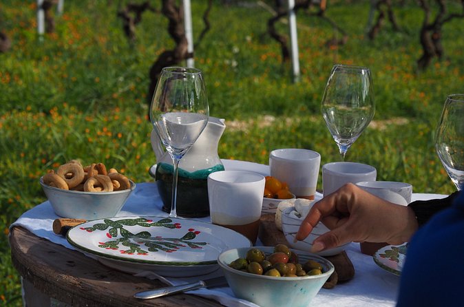 Picnic aperitif in the vineyard of an ancient trullo in Martina Franca - Price and value: is $54.01 a good deal?