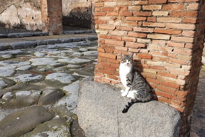 Pompeii the Ancient City (Tour+Transfer) - Forum of Pompeii and the Macellum: political center and everyday commerce