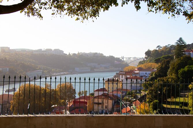 Porto Jewish Heritage Walking Tour Small group - Iglesia de S. Bento da Vitória: Seeing How Stories Coexist