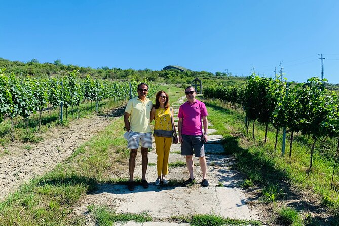 Private Bohemia Wine Tour from Prague with Gourmet Tastings - Stop 1: Zamek Mělník Chateau Views and Noble Wine Heritage
