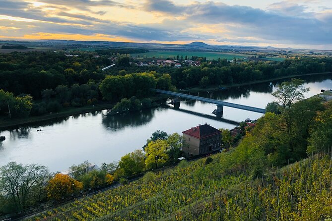 Private Bohemia Wine Tour from Prague with Gourmet Tastings - Stop 3: Velké Žernoseky Medieval Cellars and a 2-Course Czech Lunch