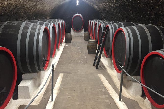 Private Bohemia Wine Tour from Prague with Gourmet Tastings - Stop 4: Johann W / Zámecké vinařství Třebívlice and Modern Estate Production