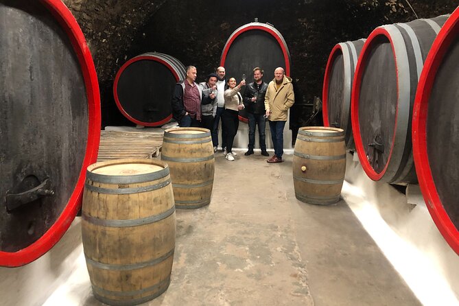 Private Bohemia Wine Tour from Prague with Gourmet Tastings - Pricing and Booking Timing: Is $359.22 Worth It?