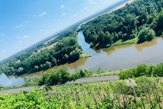 Private Bohemia Wine Tour from Prague with Gourmet Tastings - Stop 2: Vinařství Pod Radobýlem in Žalhostice and Volcanic Terroir Talk