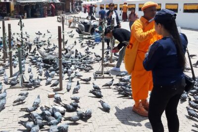 Private Day Tour at the World Heritage Site in Kathmandu Valley - The pace: how four UNESCO stops fit into 4–6 hours