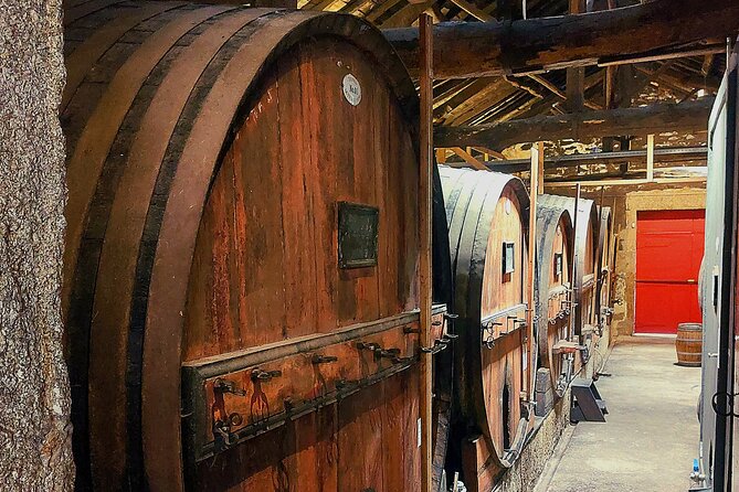 Private Douro Valley UNESCO Wine Tour from Porto with Lunch - The 1-hour Douro boat trip: river views you can’t get from the road