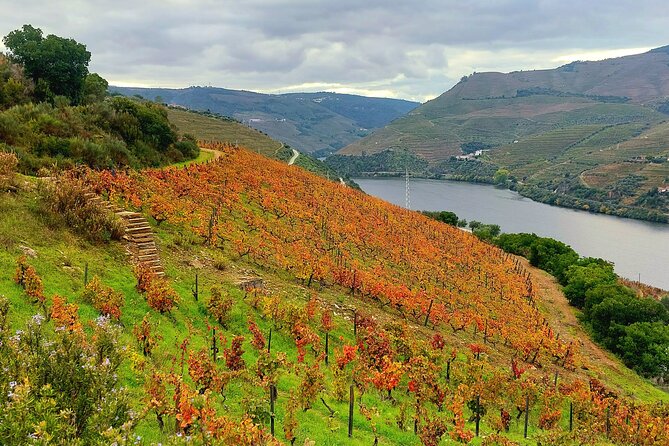 Private Douro Valley UNESCO Wine Tour from Porto with Lunch - Who should book this private Douro day