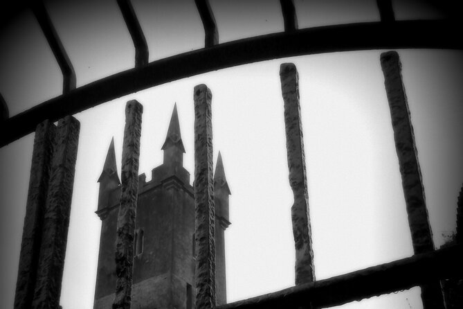 Private Ennis Dark History Tour with Dr Jane O'Brien (1-6 people) - Why this 70-minute Ennis dark history walk works so well