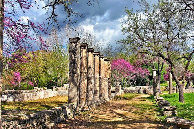 Private Excursion to Ancient Olympia - bee farm & winery - Olympia Land Winery: tasting options and the value of flexibility