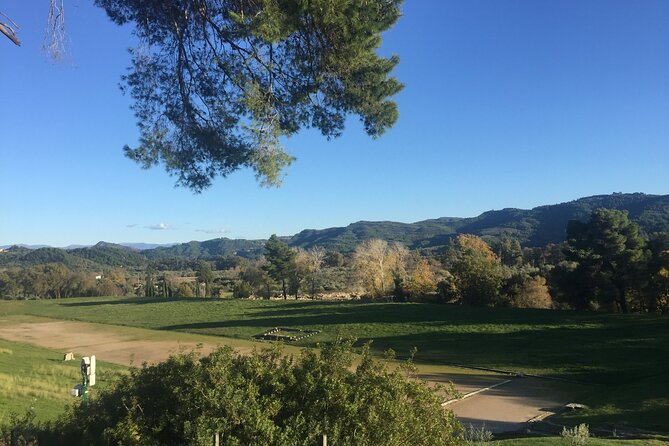 Private Excursion to Ancient Olympia - bee farm & winery - Klio’s Honey Farm: spoon sweets, diples, and real bee talk