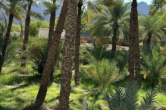 Private Full Day Hatta Visit Dam Heritage Village Lake - Stop 6: Wadi Hatta Park for hands-on adventure