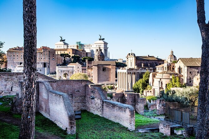 Private Guided Tour in the Colosseum and Ancient Rome - Your guide sets the tone: pacing and how questions fit in