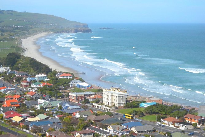 Private Guided Tour of Dunedin City Heritage and Unique Wildlife and Scenery - Key Takeaways
