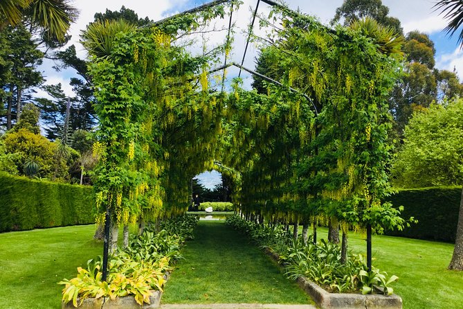 Private Guided Tour of Dunedin City Heritage and Unique Wildlife and Scenery - University of Otago and the Historic City Loop