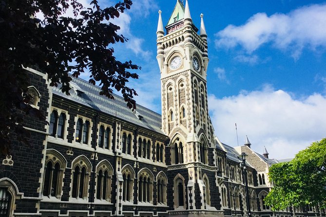 Private Guided Tour of Dunedin City Heritage and Unique Wildlife and Scenery - Royal Albatross Centre: Wildlife First, With Smart Planning