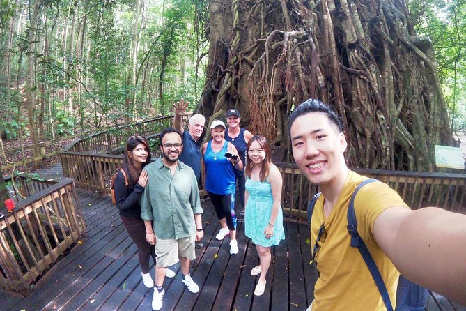 Private Half Day Tour: World Heritage Rainforest & Waterfall - Why the Wet Tropics UNESCO area fits a half-day plan