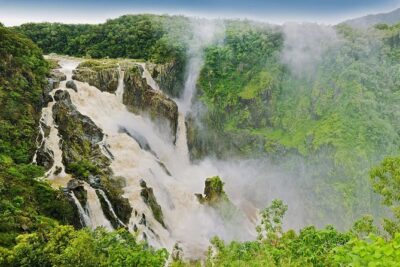 Private Half Day Tour: World Heritage Rainforest & Waterfall - Kuranda Range drive and Kuranda Village: a short taste of the region