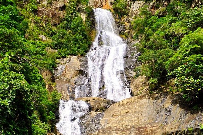 Private Half Day Tour: World Heritage Rainforest & Waterfall - How the 5-hour schedule feels on the ground