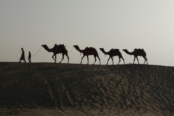 Private Heritage Walking Tour in Jaisalmer Fort and Old Bazaar - Meeting Lalu in the Old City: Private, Flexible, Bilingual