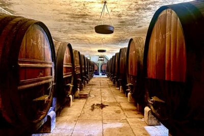 Private Lisbon-Arrábida Wine Tour: 3 Wineries, Coast & Heritage - Mercado do Livramento in Setúbal: oysters, produce, and tilework