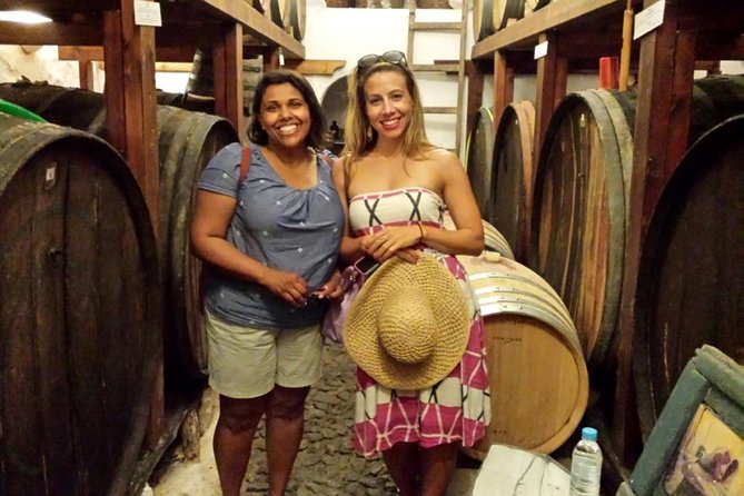 Private Tour: Ancient Akrotiri and Santorini Wineries Tour - Key points to know before you go