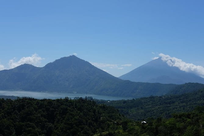 Private Tour: Bali Heritage Sites - Private Driver-Guide Power: The Real Benefit Here