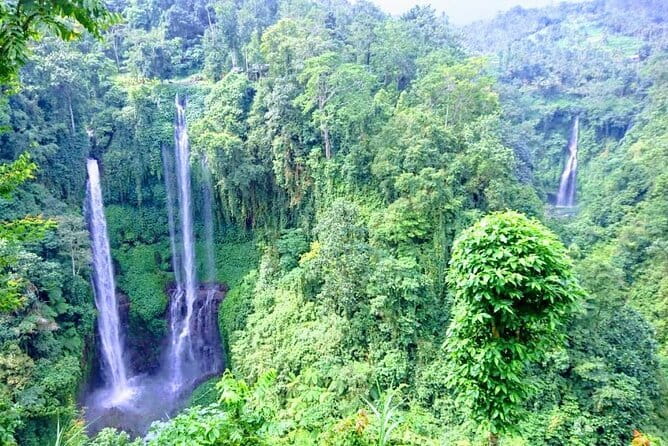 Private Tour: Bali Heritage Sites - Tirta Empul Water Temple: The Healing-Spring Experience