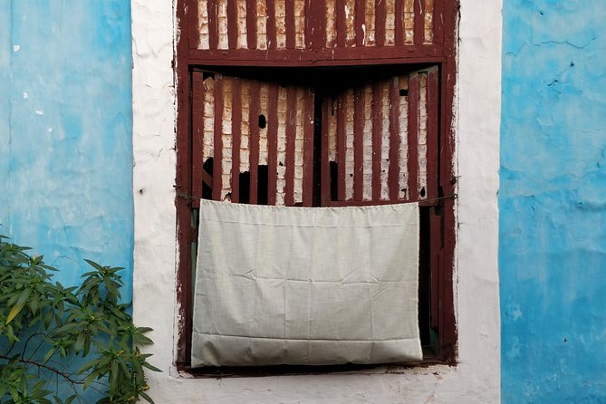 Private Tour of Fontainhas & Old Goa's Portuguese Heritage - Guides who can turn architecture into a story