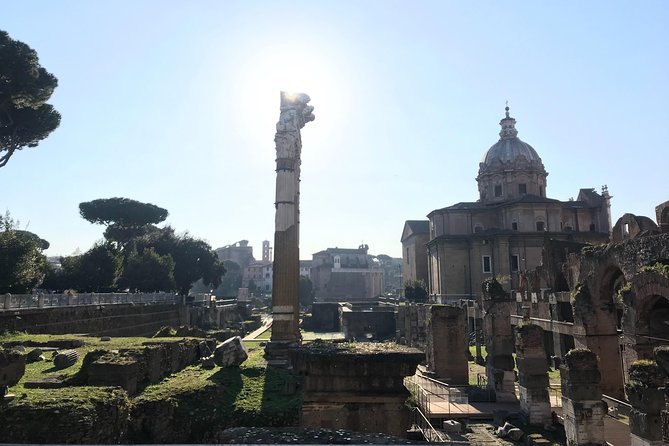 Private Tour of the Colosseum and Ancient Rome with Hotel Pick Up - Palatine Hill: Emperors, Romulus and Remus, and the Forum View